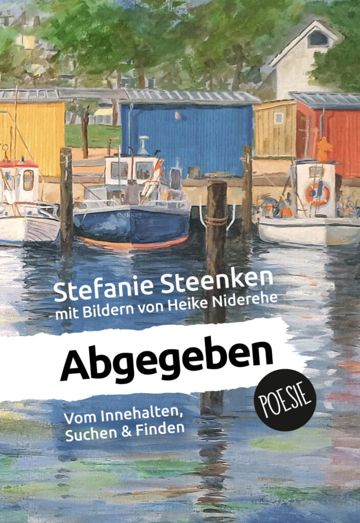Cover-Steenken-Abgegeben-0