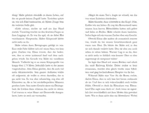 Frida Luise Sommerkorn: Unser erster Sommer am See. Schwedenträume