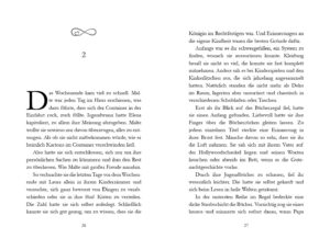 Frida Luise Sommerkorn: Unser erster Sommer am See. Schwedenträume